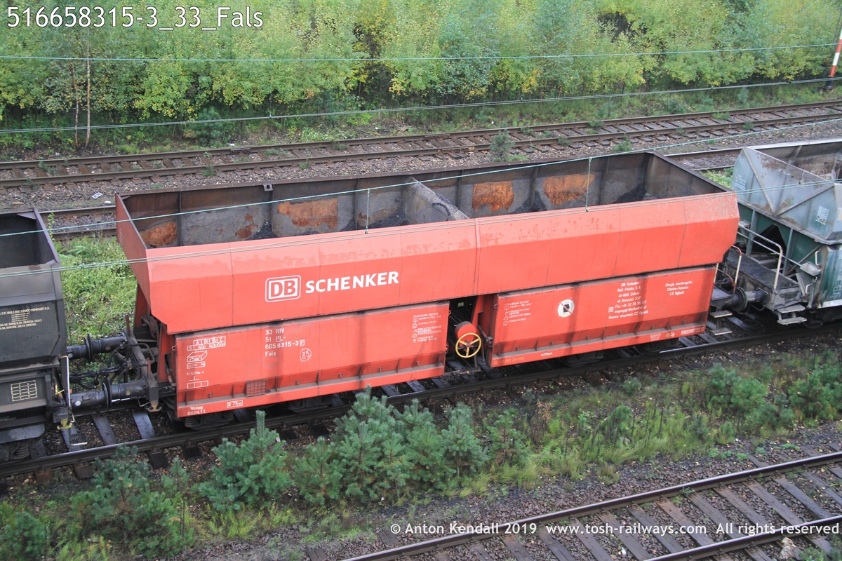 516658315-3_33_Fals.JPG